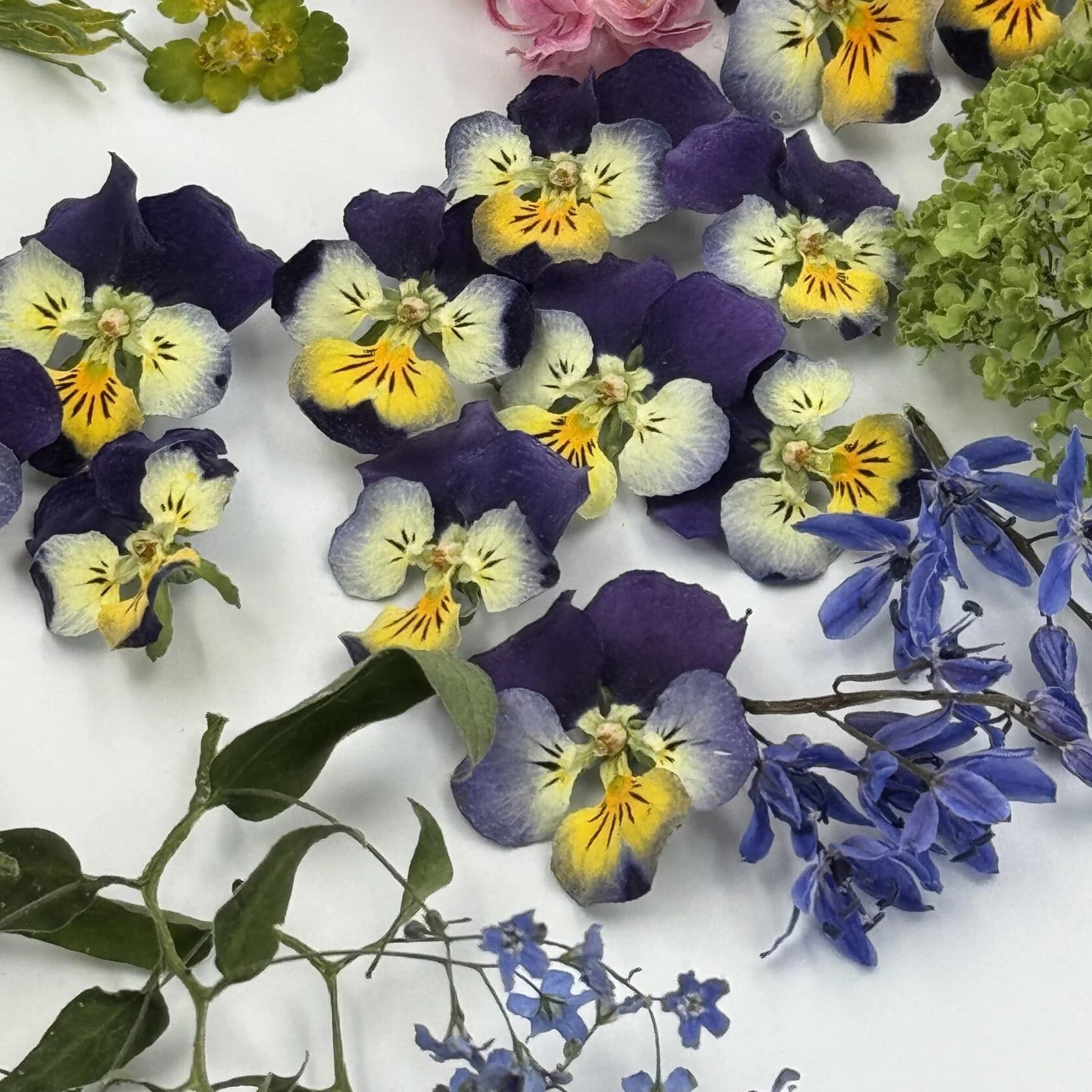 http://45.129.97.76:8000/media/media/product/1758912569.9801662.image.webp